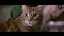 кадри з фільму Вуличний кіт на прізвисько Боб