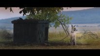 кадри з фільму Ґамп: пес, який навчив людей жити