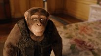 кадри з фільму Шимпанзе під прикриттям