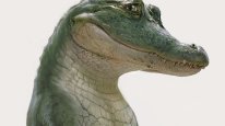 кадри з фільму Мій домашній крокодил