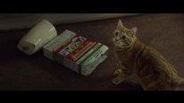 кадри з фільму Вуличний кіт на прізвисько Боб