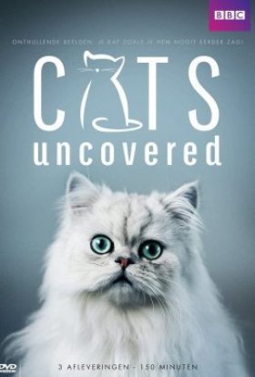 постер серіалу Коти без прикриття