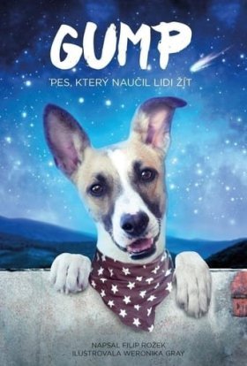 постер до фільму Ґамп: пес, який навчив людей жити дивитися онлайн