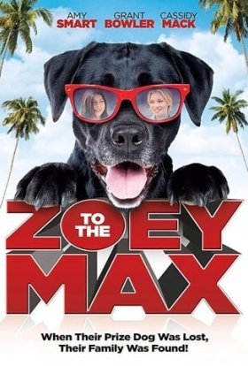 постер до фільму Зої та Макс дивитися онлайн