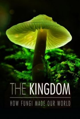 постер до фільму Королівство. Як гриби створили наш світ дивитися онлайн