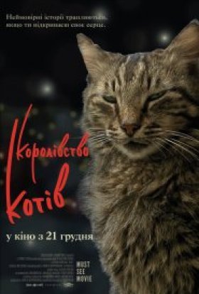 постер до фільму Королівство котів / Кіт дивитися онлайн