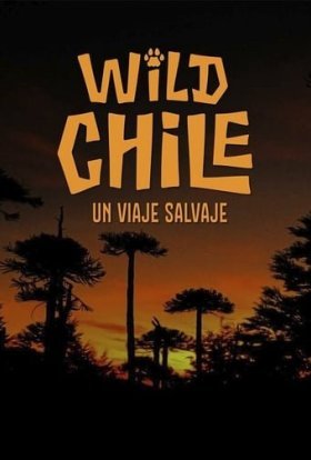 постер серіалу Дика природа Чилі
