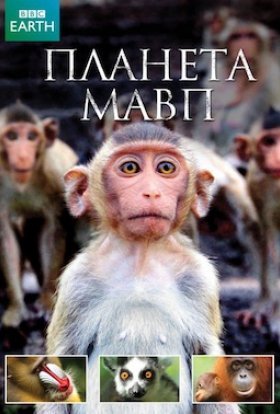 постер серіалу Планета мавп