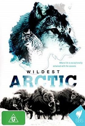 постер серіалу Дика Арктика