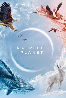 постер серіалу Досконала планета / Ідеальна планета