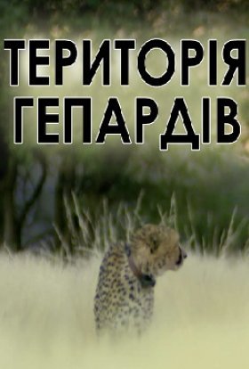постер до фільму Територія гепардів дивитися онлайн