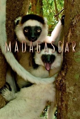 постер серіалу Мадаґаскар / Мадагаскар